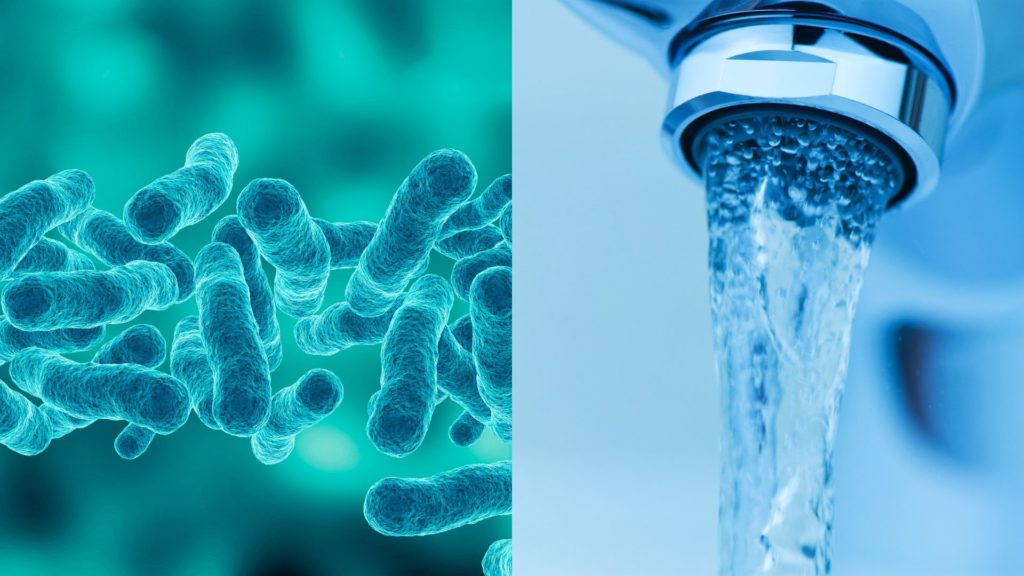 Legionellen im Trinkwasser gefährden die Gesundheit. Mit der novellierten Trinkwasserverordnung gelten neue Grenzwerte.